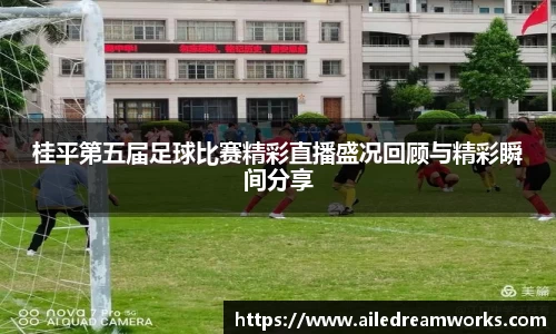 球速体育app