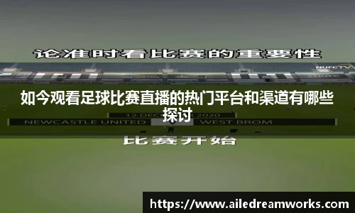 球速体育app