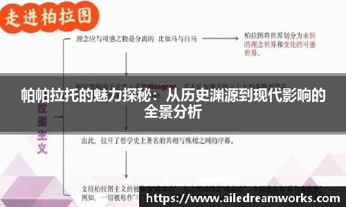 球速体育app