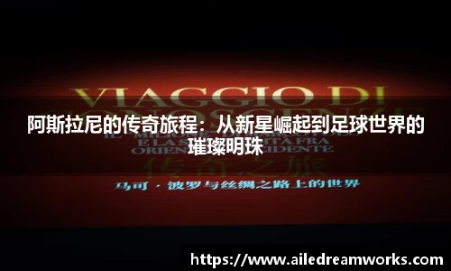 球速体育app