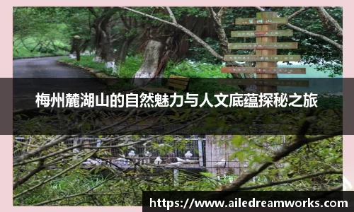 球速体育