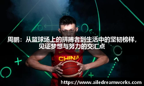 球速体育